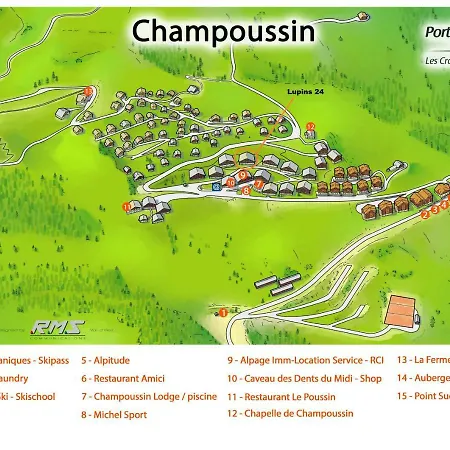 Lupins 24 Studio Champoussin